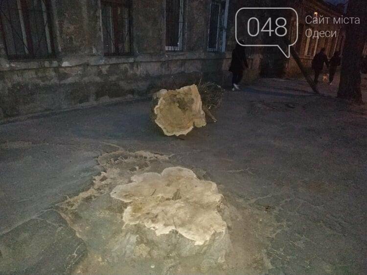 Фото: 048.ua