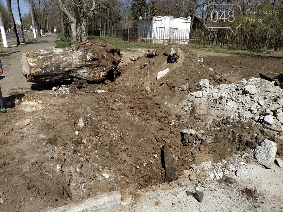 Демонтаж "Памятника мертвым деревьям" на Французком бульваре