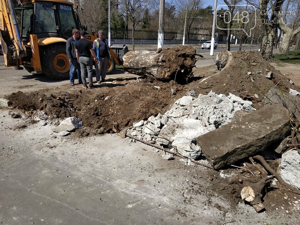 Демонтаж "Памятника мертвым деревьям" на Французком бульваре