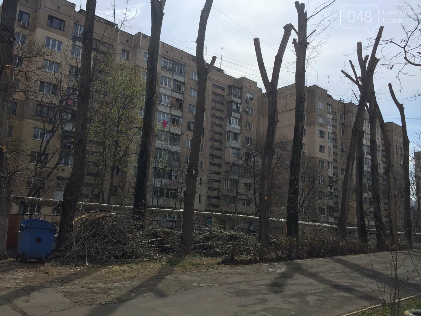 Фото: 048.ua