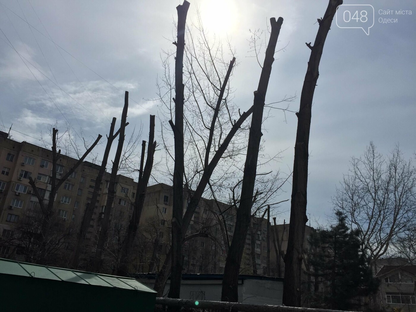 Фото: 048.ua