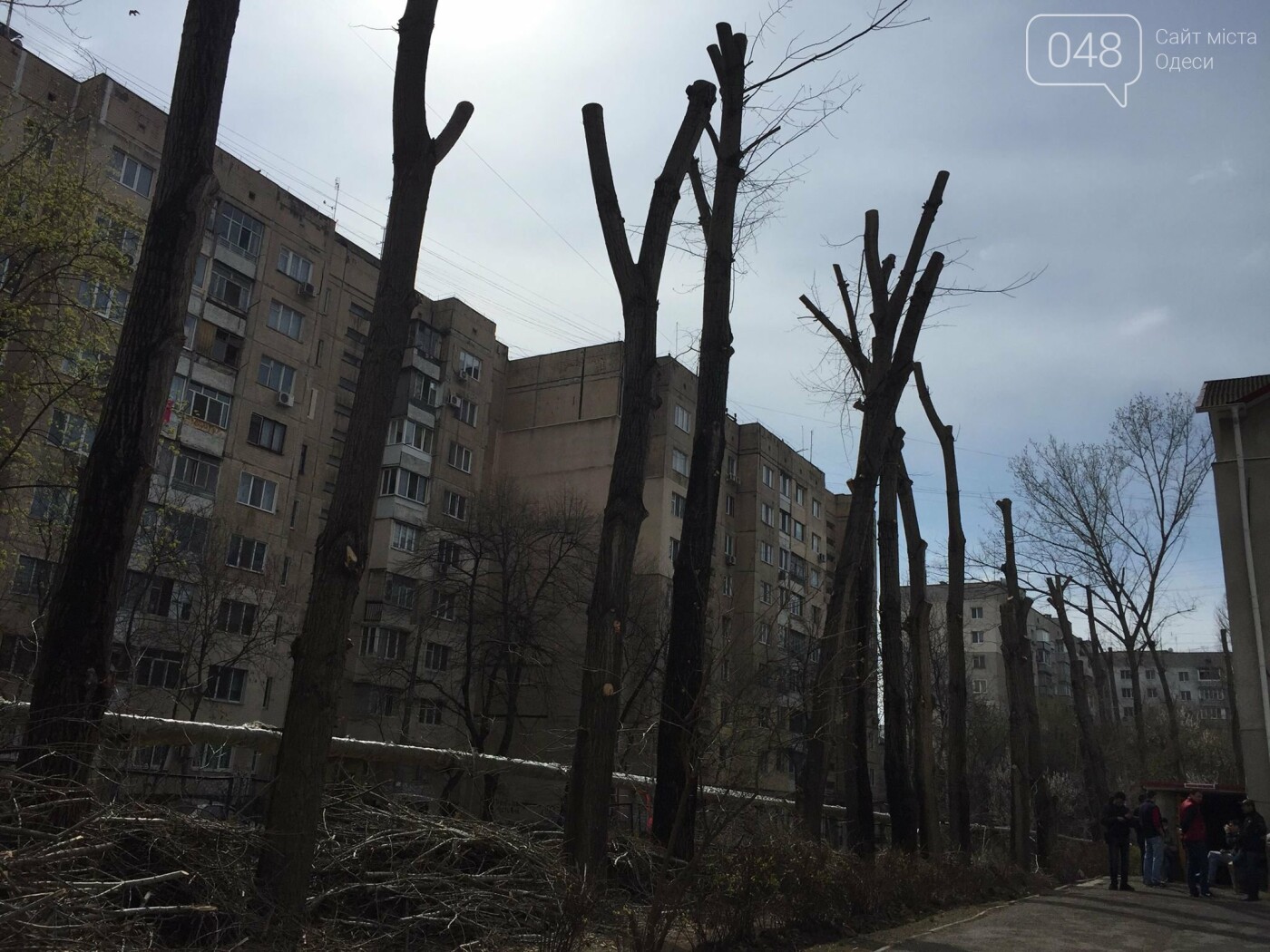 Фото: 048.ua