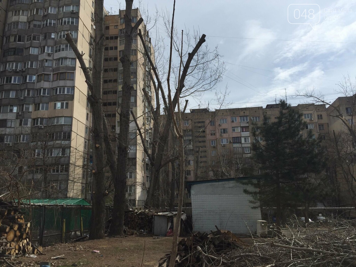 Фото: 048.ua
