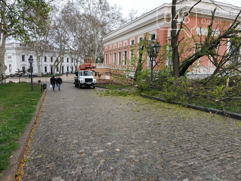 Корреспонден 048. Александр Жирносенко, Рухнувшее дерево возле одесской мэрии Рухнувшее дерево возле одесской мэрии
