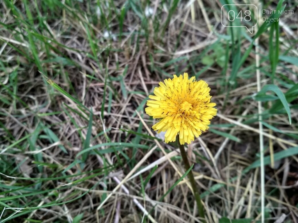 Фото: 048