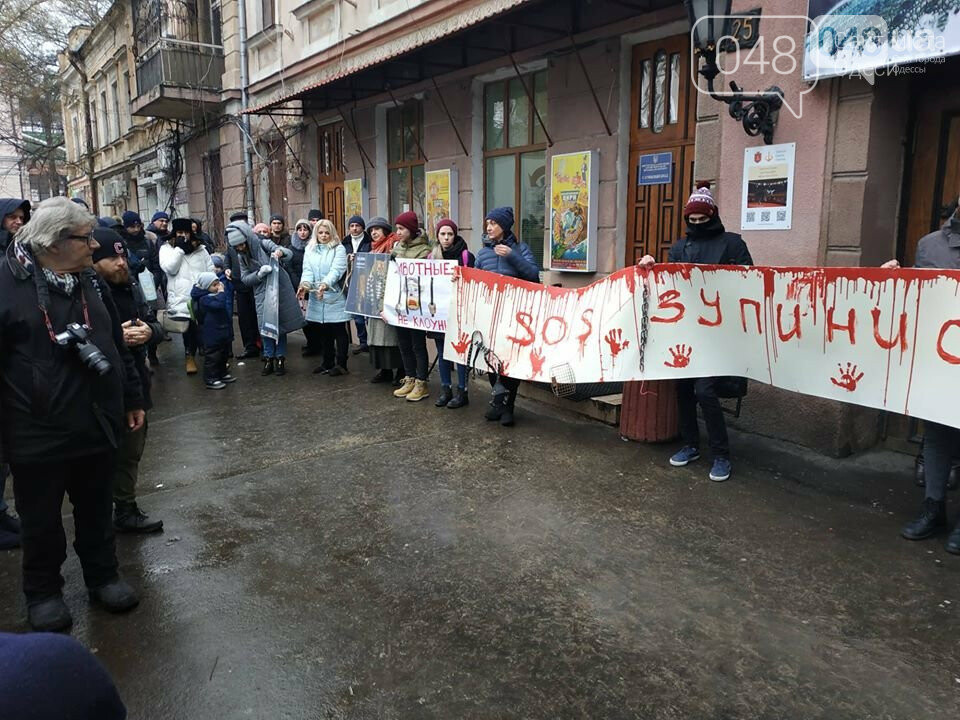 Зоозащитники протестуют против жистокого обращения с животными в Одесском цирке