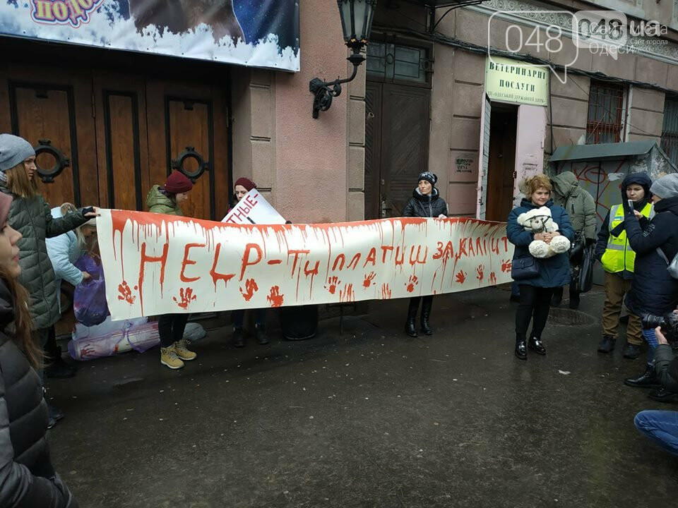 Зоозащитники протестуют против жистокого обращения с животными в Одесском цирке
