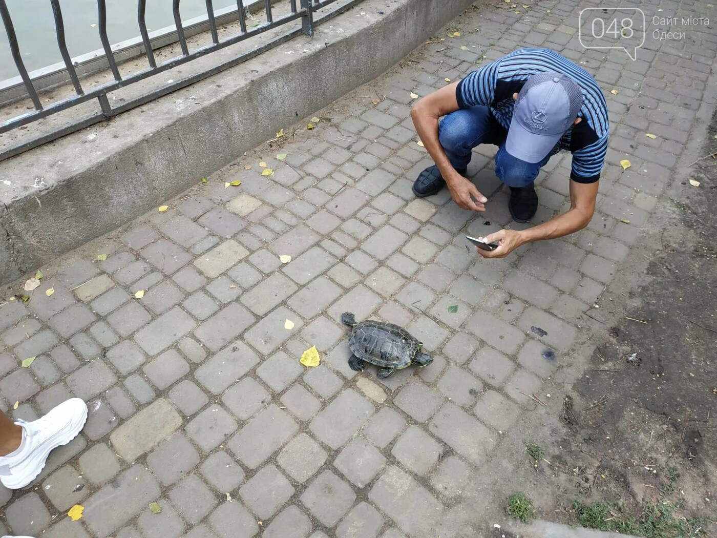 Фото: Александр Жирносенко