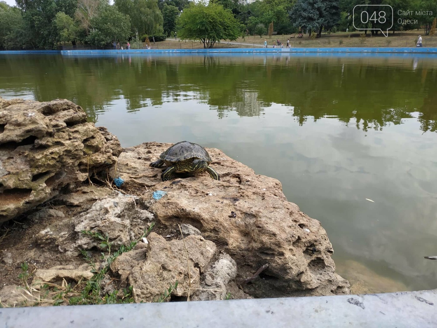 Фото: Александр Жирносенко