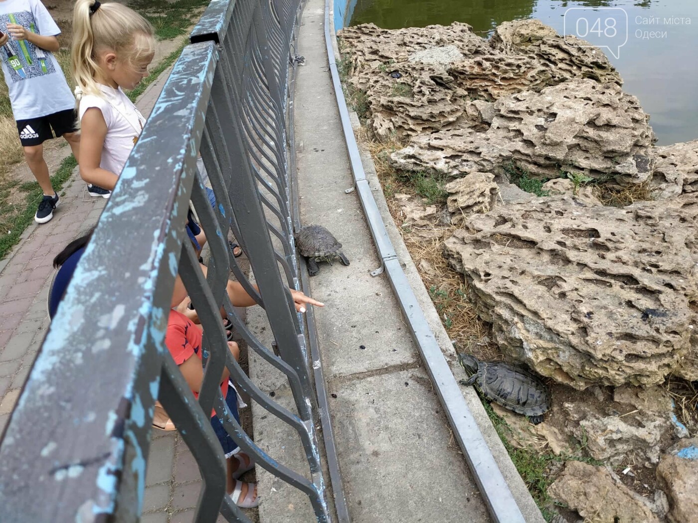 Фото: Александр Жирносенко