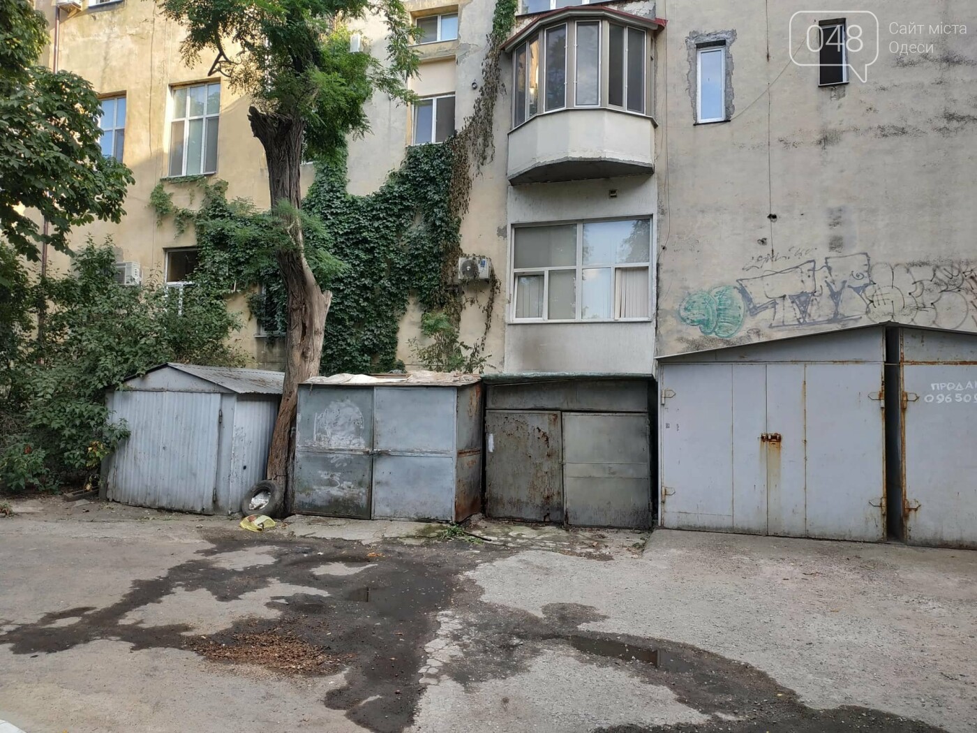 Фото: Александр Жирносенко