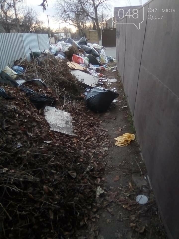 Фото: Александр Беженарь Фото: Александр Беженарь