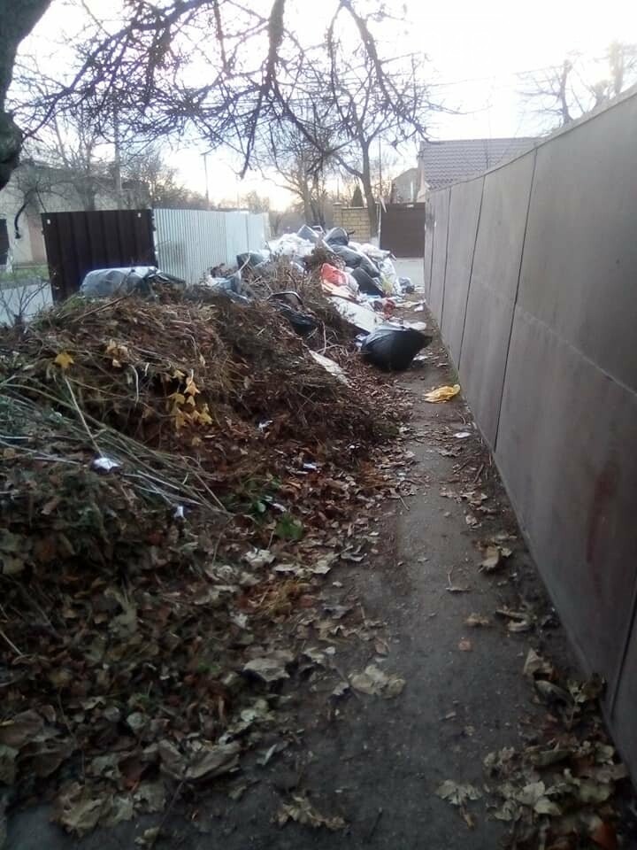 Фото: Александр Беженарь Фото: Александр Беженарь