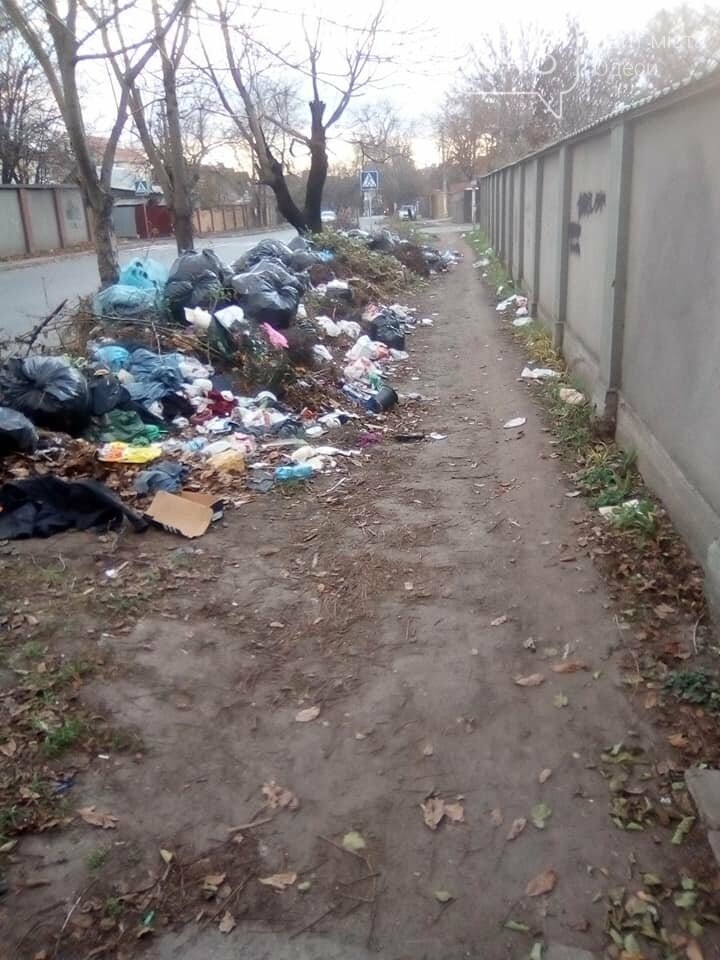 Фото: Александр Беженарь Фото: Александр Беженарь