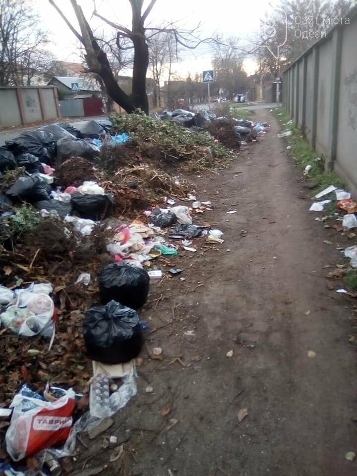 Фото: Александр Беженарь Фото: Александр Беженарь