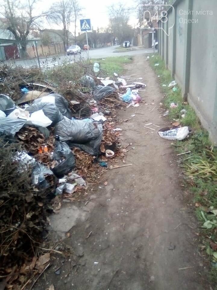 Фото: Александр Беженарь Фото: Александр Беженарь