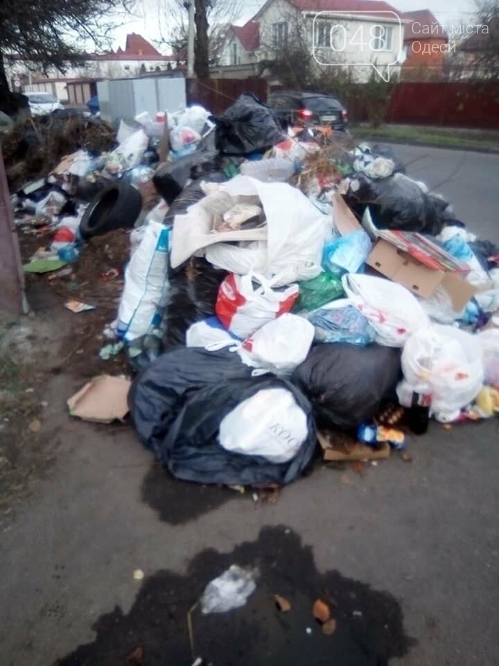 Фото: Александр Беженарь Фото: Александр Беженарь