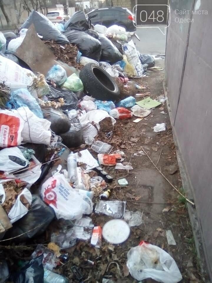 Фото: Александр Беженарь Фото: Александр Беженарь