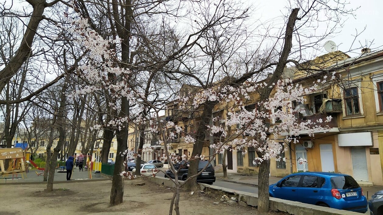 бизнес-каталог фото весна в одессе хорошей