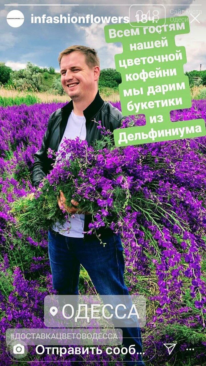Фиолетовое поле под Одессой. Фиолетовое поле под Одессой.