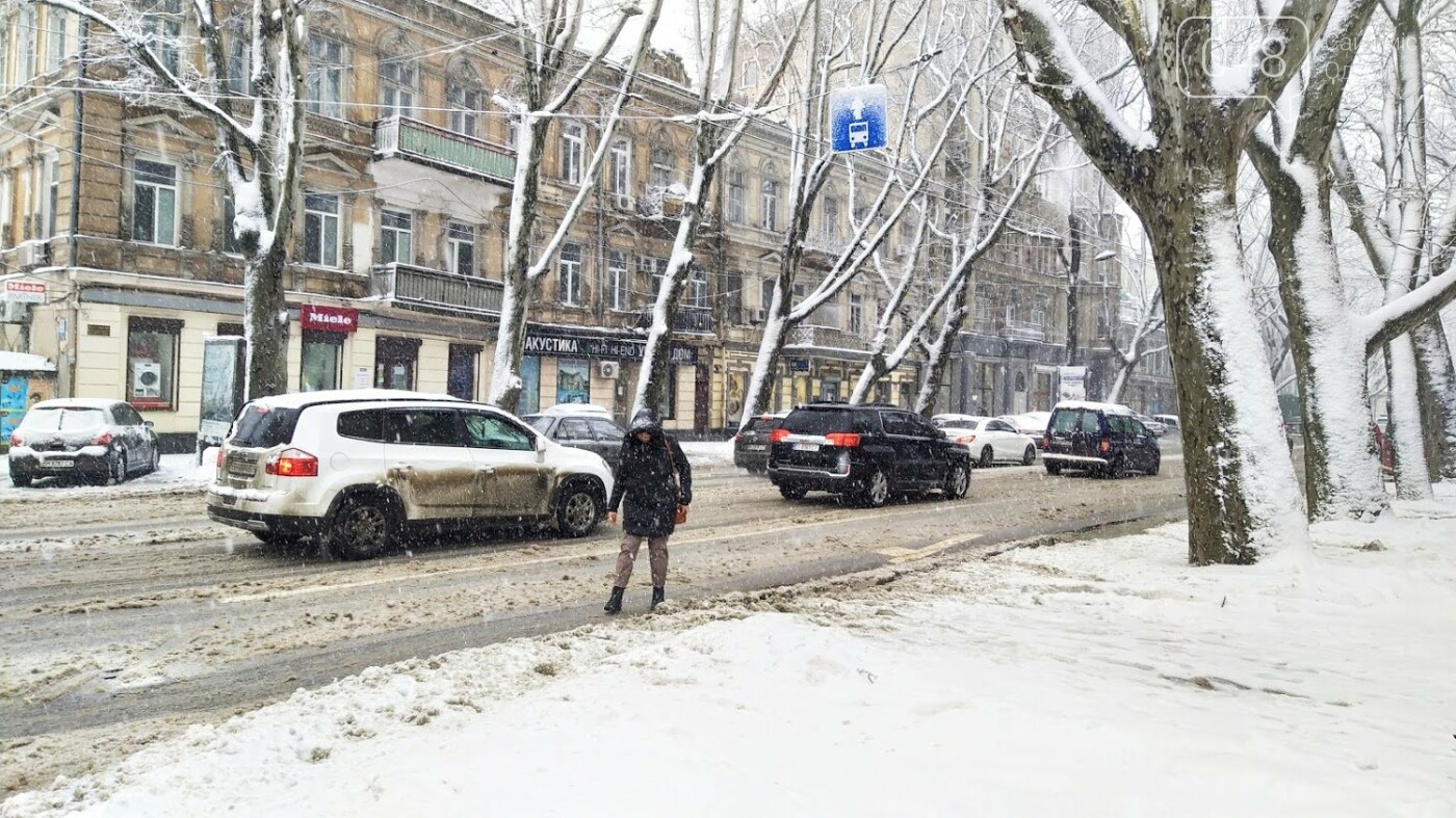 Снежная буря в Одессе: ситуация на дорогах города, - ФОТО, ОБНОВЛЕНО, фото-16, ФОТО: Александр Жирносенко.