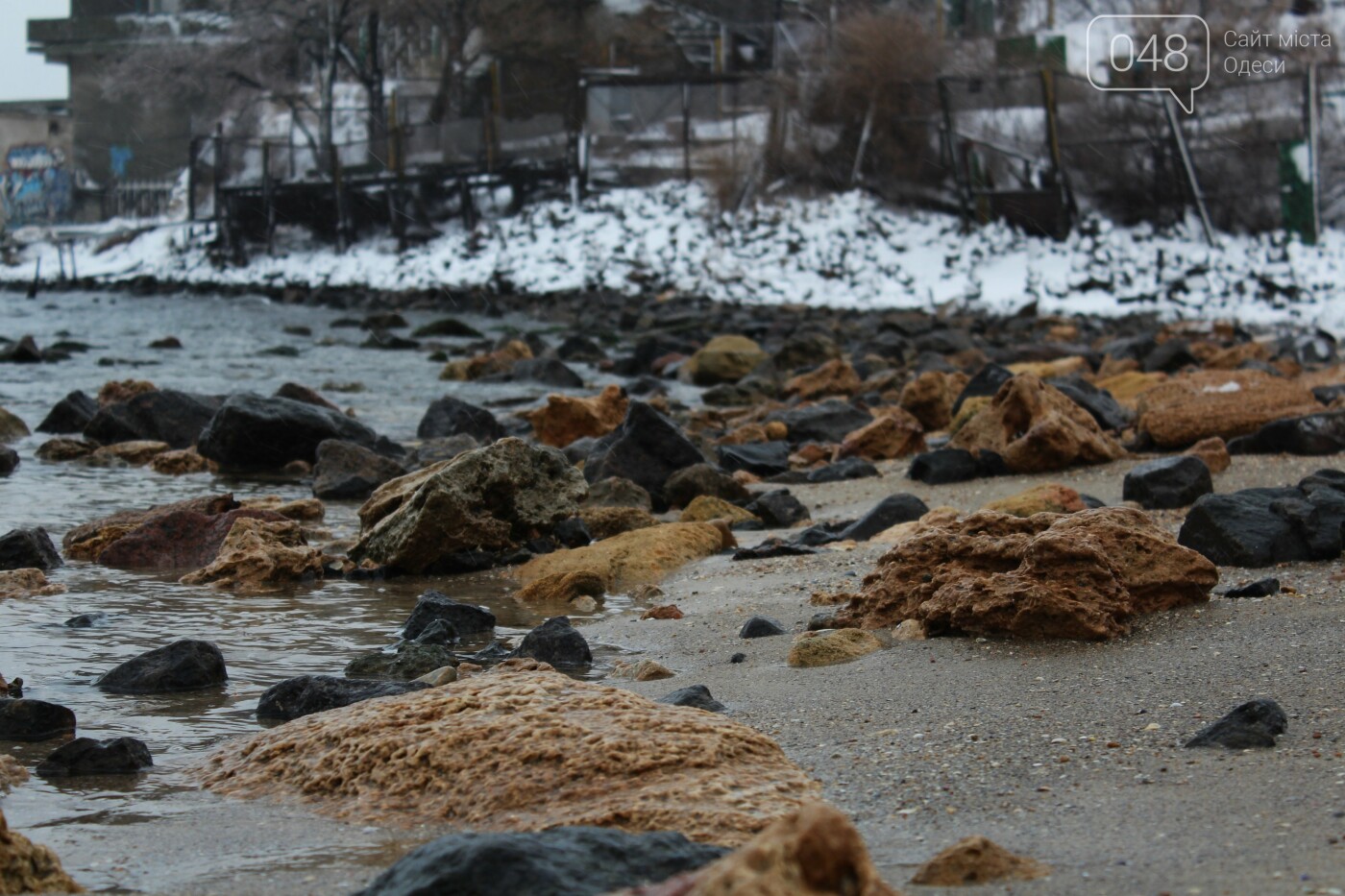 В Одессе побережье засыпало снегом: утки, котики и море, - ФОТОРЕПОРТАЖ, фото-4