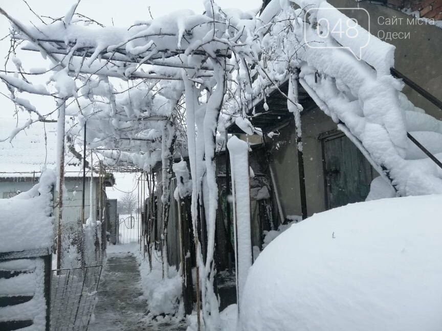 Сугробы выше крыши: жители Одесской области откапываются,-..., фото-8 Сугробы выше крыши: жители Одесской области откапываются,- ФОТОРЕПОРТАЖ, фото-8