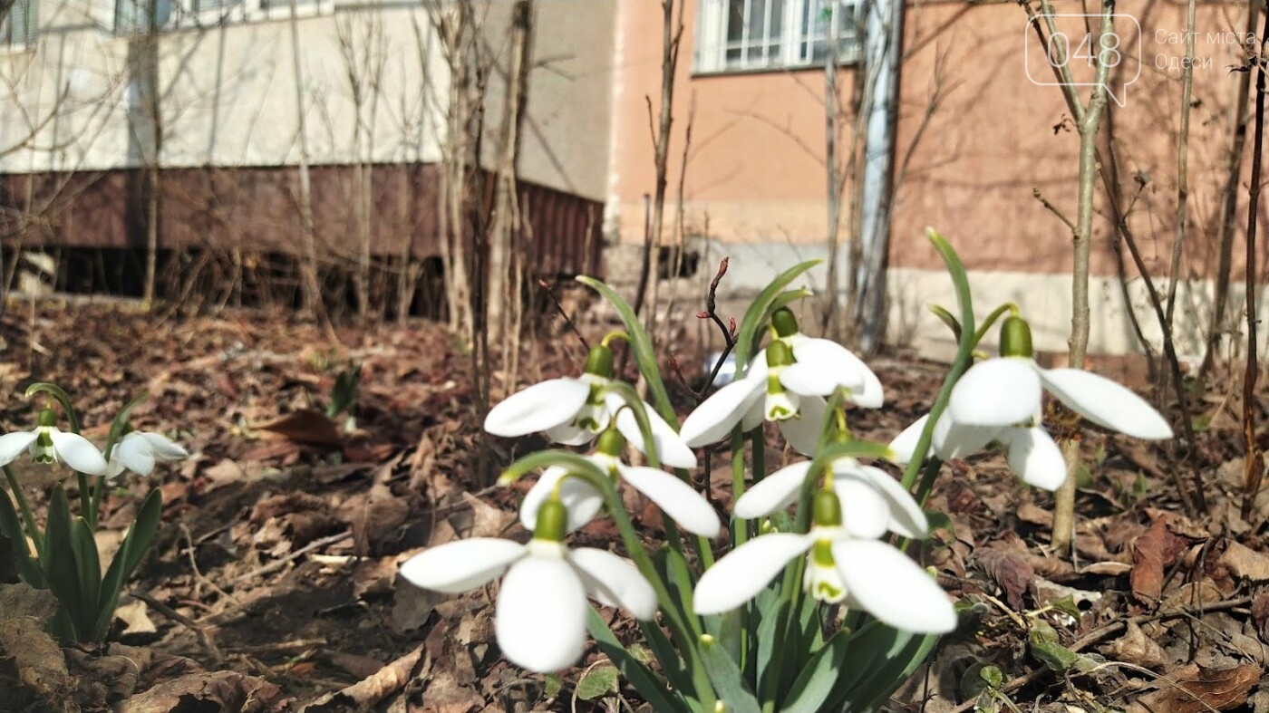 Весна в Одессе.