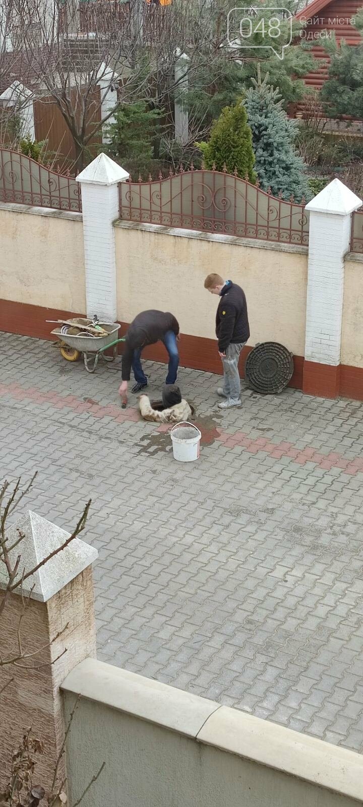 Война за воду: в котеджном поселке под Одессой произошла потасовка со стрельбой,- ФОТО, ВИДЕО, фото-6