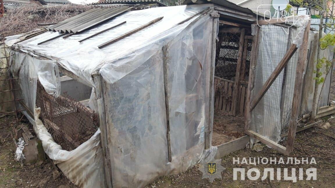 Взрывчатка и наркотики: полицейские задержали двух жителей Одесской области, - ФОТО, фото-2