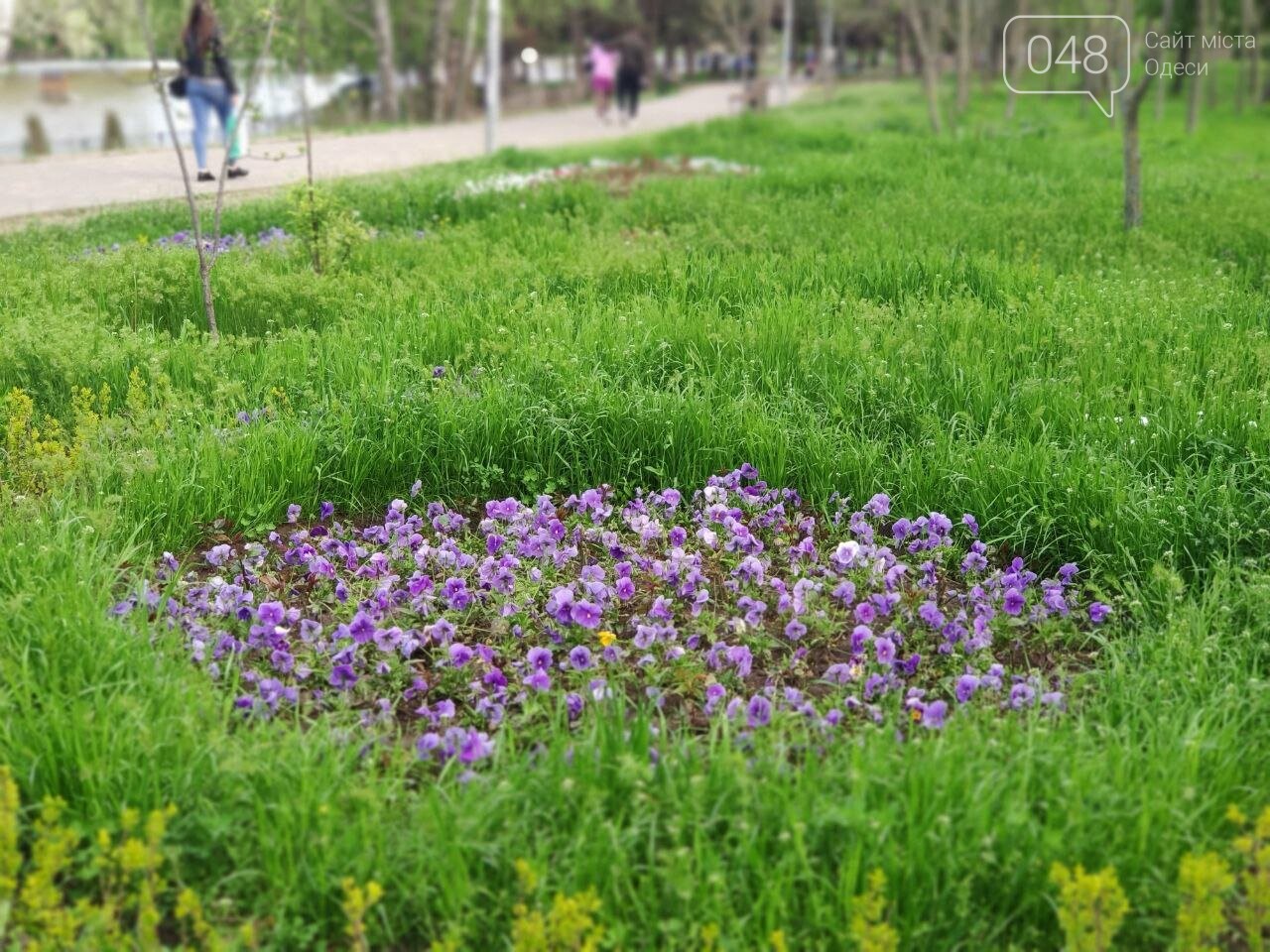 Сакура, лебеди и черепахи: сотни одесситов вышли на прогулку в парк Победы, - ФОТОРЕПОРТАЖ, фото-17