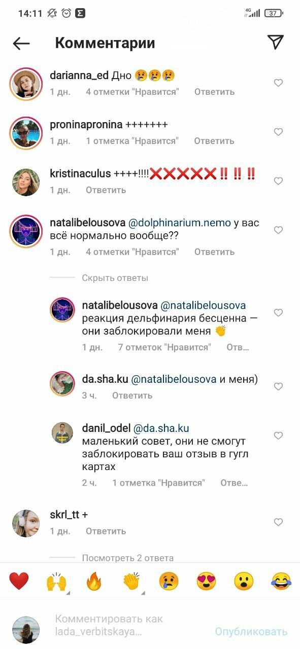 Страдания или веселье: вокруг морского котика и одесского дельфинария разгорелись споры, - ФОТО, ВИДЕО, фото-2