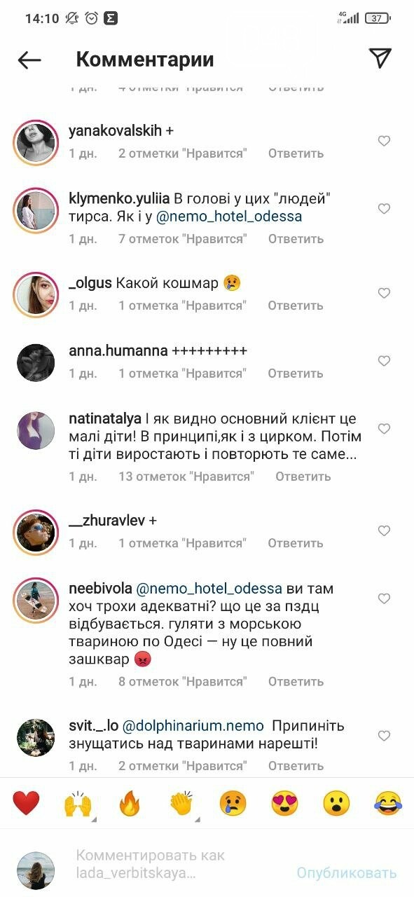 Страдания или веселье: вокруг морского котика и одесского дельфинария разгорелись споры, - ФОТО, ВИДЕО, фото-1