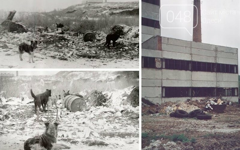 "Мы начинали торговать на картонках и газетах": история одесского промрынка 7км, - ФОТО, фото-2
