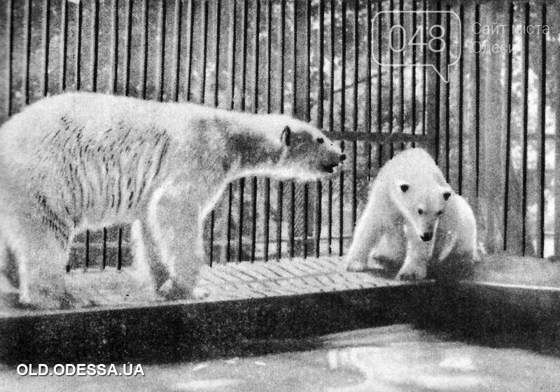 С пятой попытки: как в Одессе появился зоопарк, фото-3