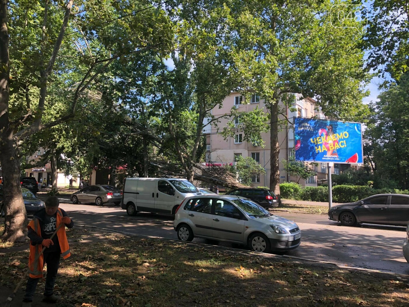 Последствия грозы: упавшее дерево обесточило целую улицу в Одессе, - ФОТО , фото-1