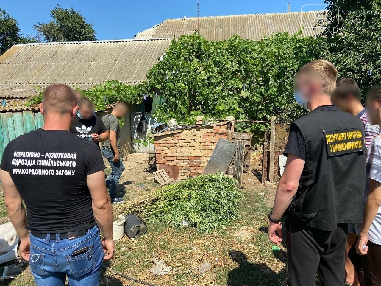 При обыске в доме полицейские нашли марихуану При обыске в доме полицейские нашли марихуану free tor browser free download hydra