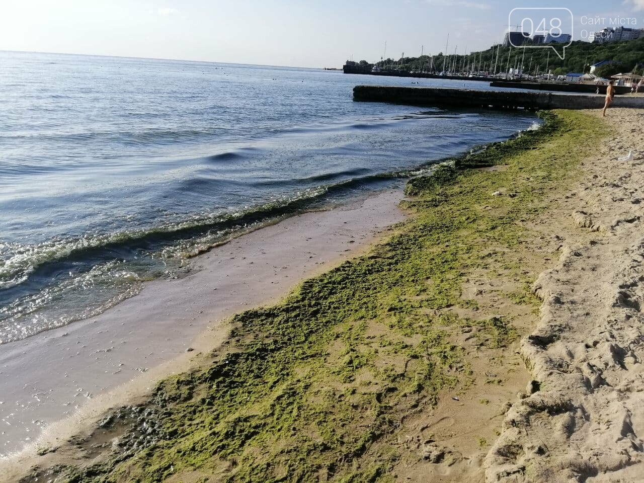 Что происходит в первый день осени на одесском пляже,- ФОТ..., фото-19 Что происходит в первый день осени на одесском пляже,- ФОТОРЕПОРТАЖ, фото-19