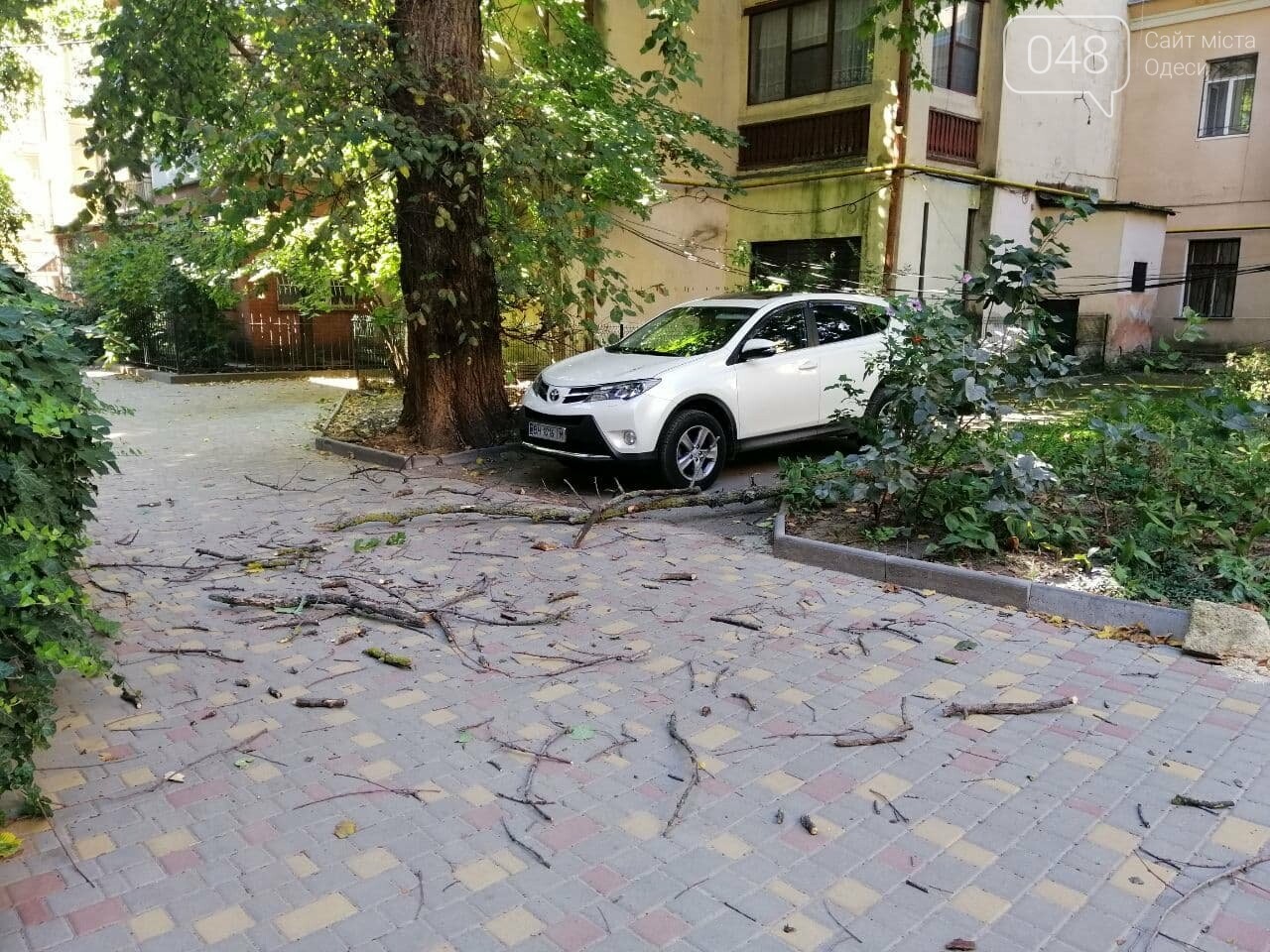 В одесском дворике упало дерево, постарался штормовой ветер,- ФОТО, фото-1
