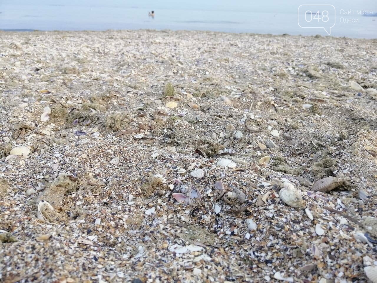 На пляжах Одессы начался бархатный сезон,- ФОТОРЕПОРТАЖ, фото-20