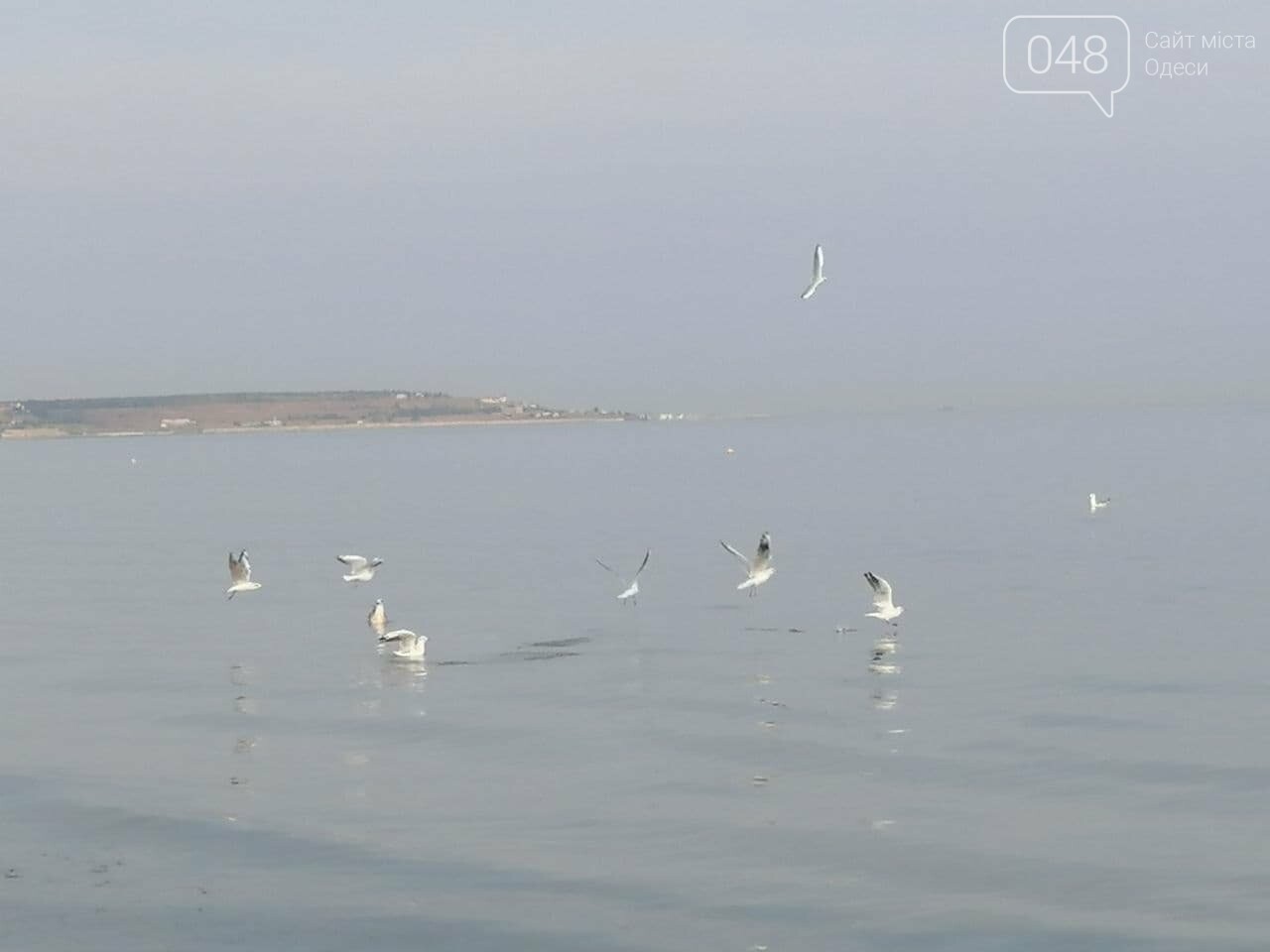 На пляжах Одессы начался бархатный сезон,- ФОТОРЕПОРТАЖ, фото-21