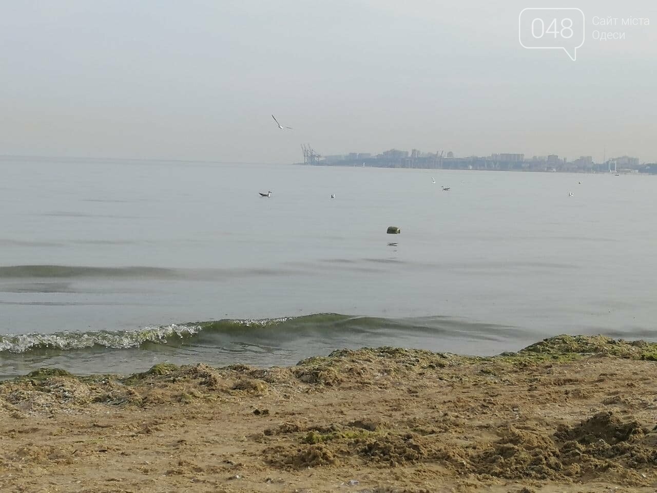 На пляжах Одессы начался бархатный сезон,- ФОТОРЕПОРТАЖ, фото-19