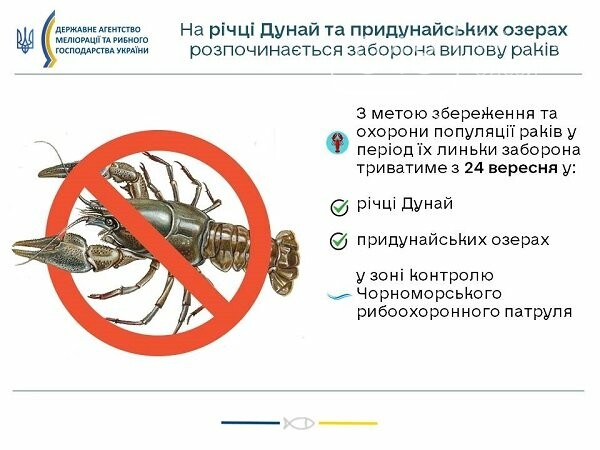 В Одесской области запретили ловить раков, фото-1