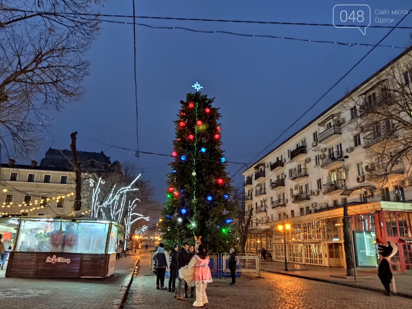 На Дерибасовской в Одессе засияла новогодняя ёлка, - ФОТО, фото-1