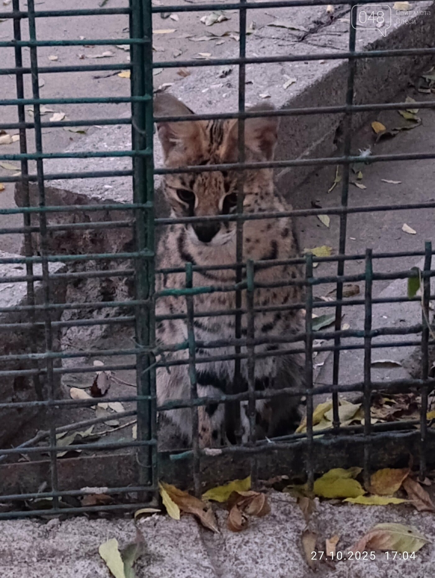 Фото зі сторінки Facebook Володимира Самайчука
