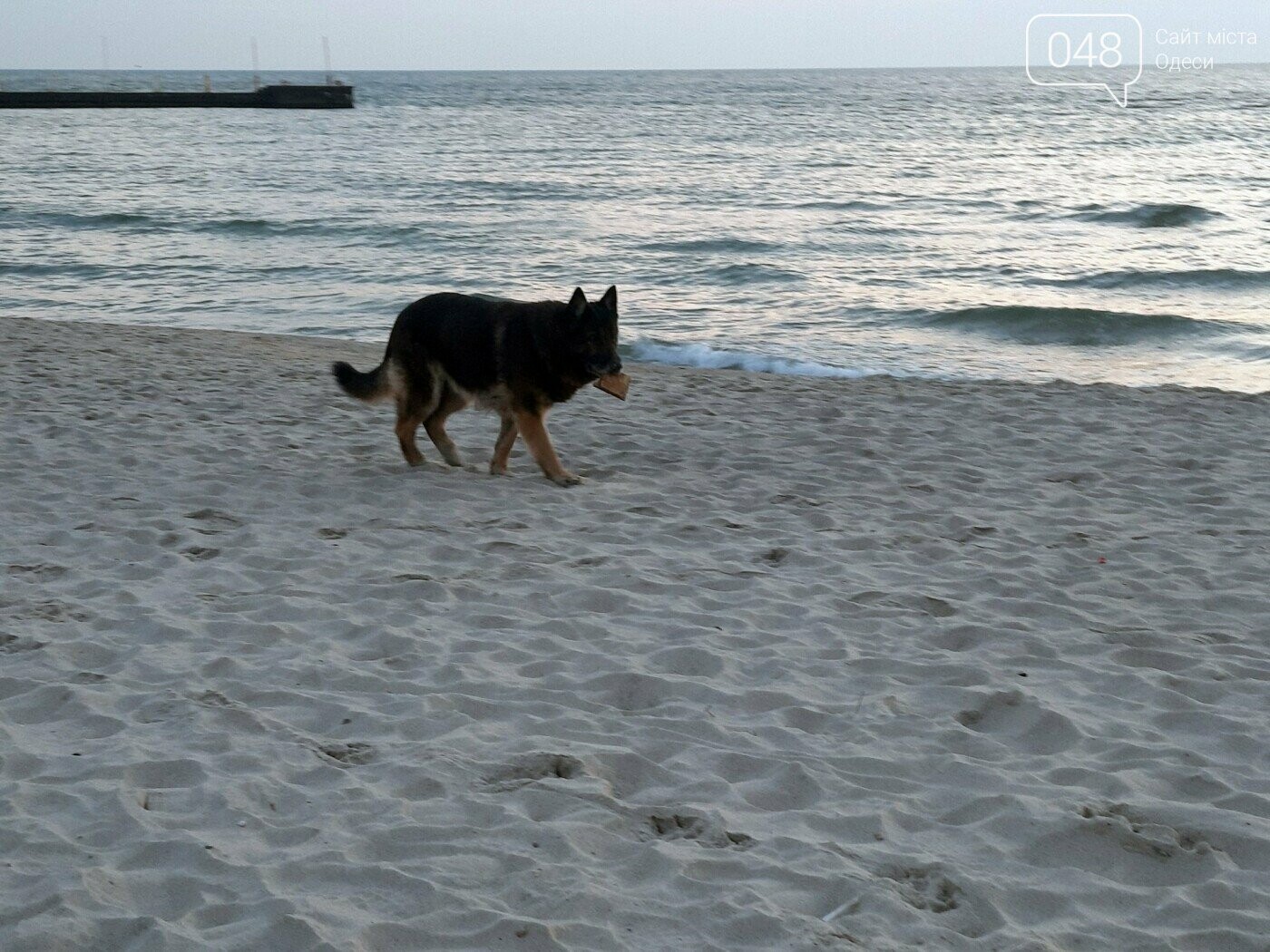 Перший лень війни 24 лютого 2022 року в Одесі