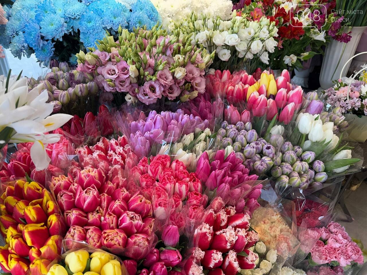 Квіти у квіткових магазинах