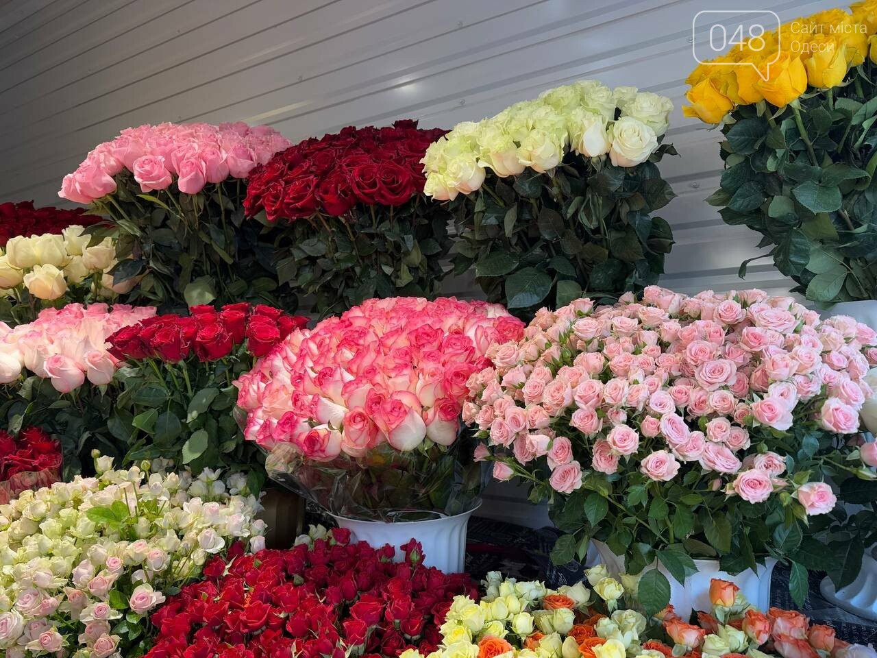 Троянди у квіткових магазинах