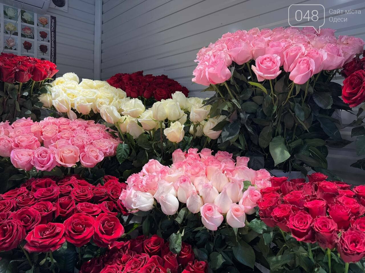 Троянди у квіткових магазинах