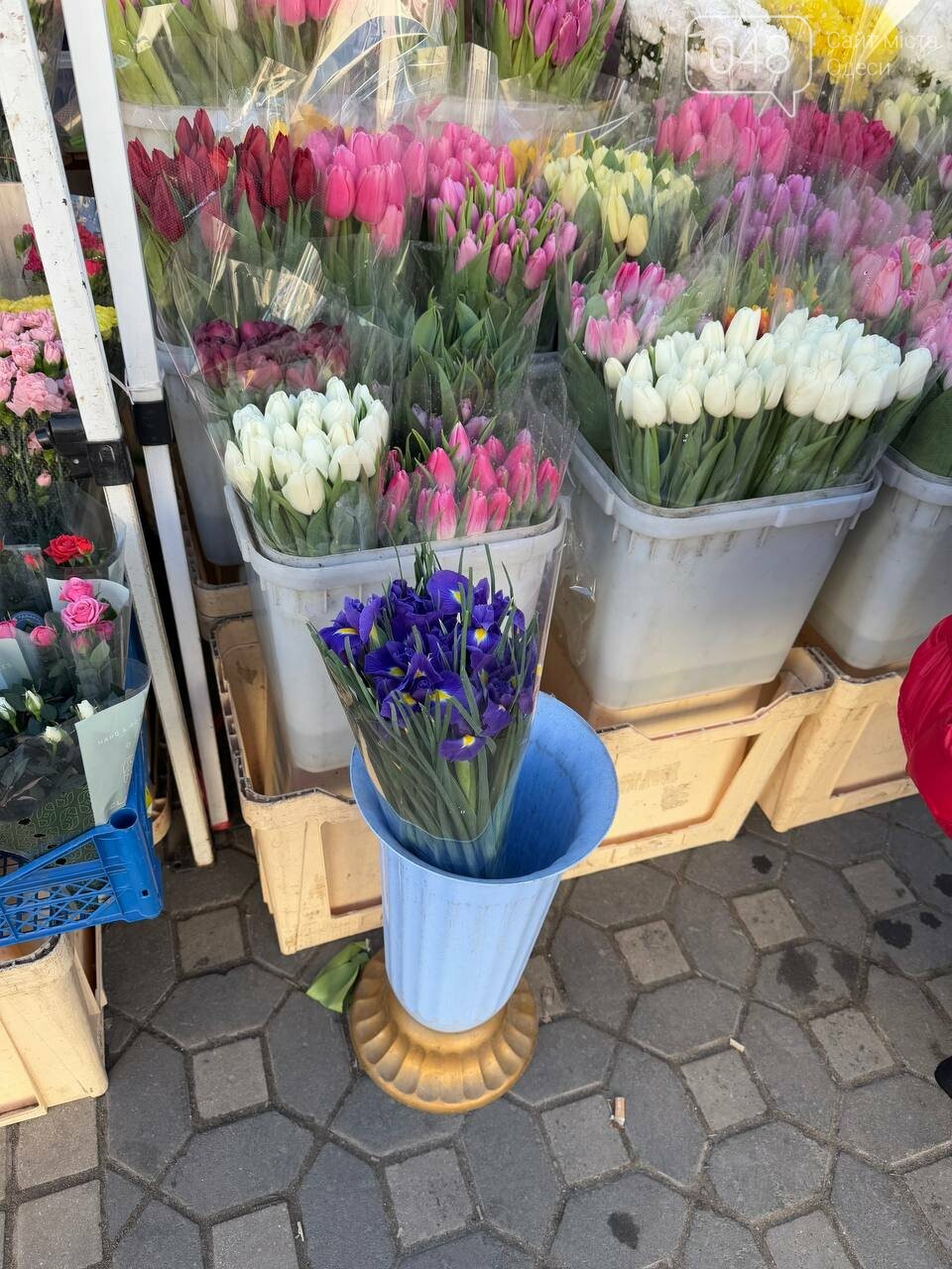 Квіти на Привозі